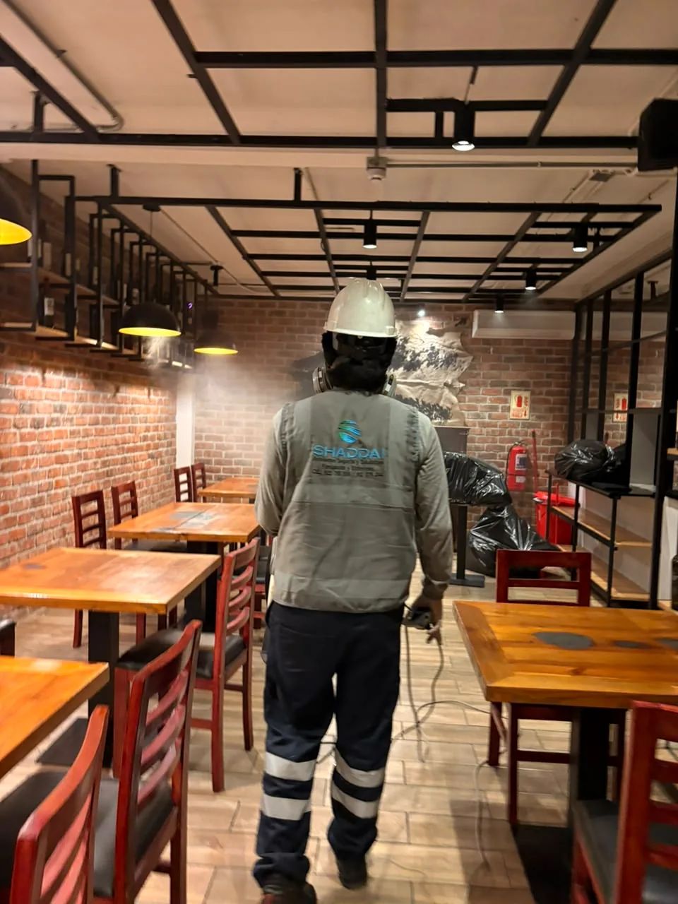 ¿Cada cuánto fumigar un restaurante?